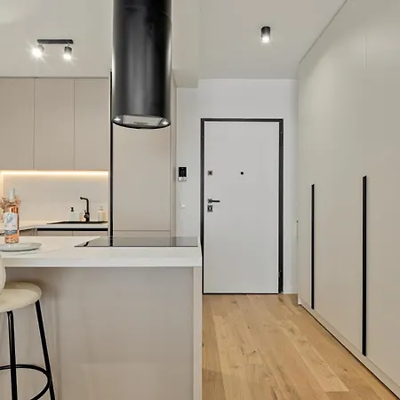 Appartement Maroon New Modern 1 King Bed For Bussiness And Leisure In One Cotroceni *