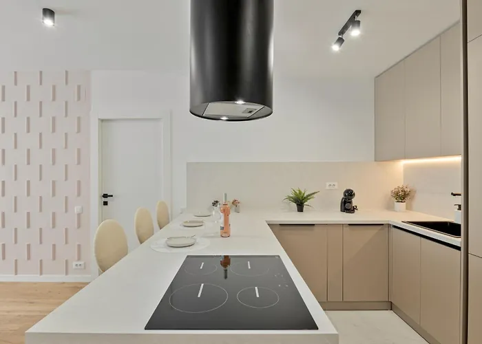 アパート Maroon New Modern 1 King Bed For Bussiness And Leisure In One Cotroceni