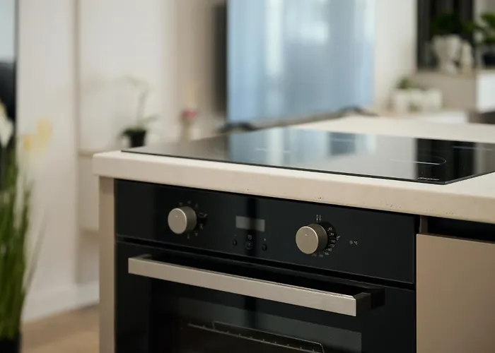 Maroon New Modern 1 King Bed For Bussiness And Leisure In One Cotroceni